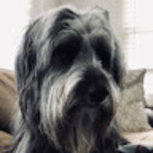 brennanmartin avatar