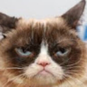 jacksonrobertson avatar