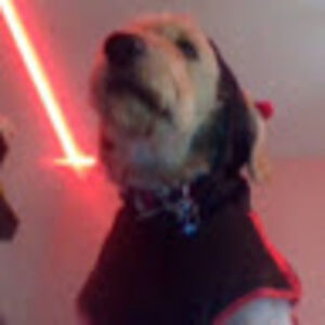 madilynnvanells avatar