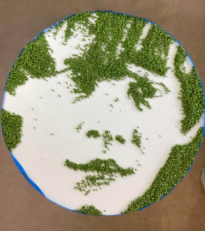 I Tried To Make Ron Weasley Out Of Peas