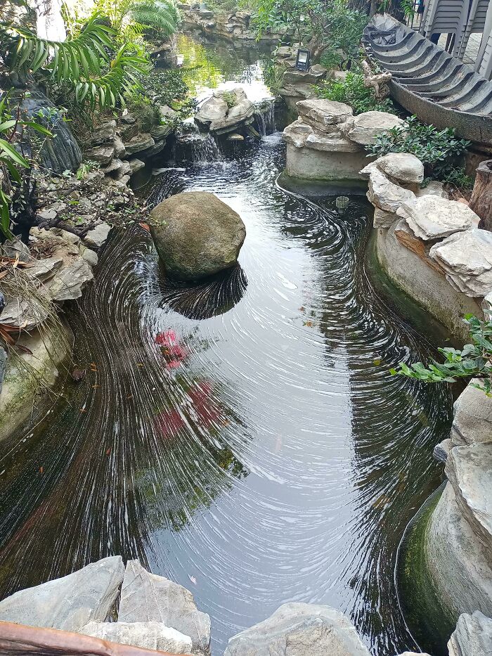 We Can See The Current