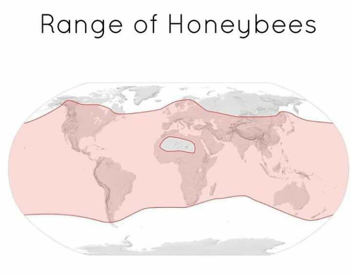 F**k The Largest Hot Desert In The World