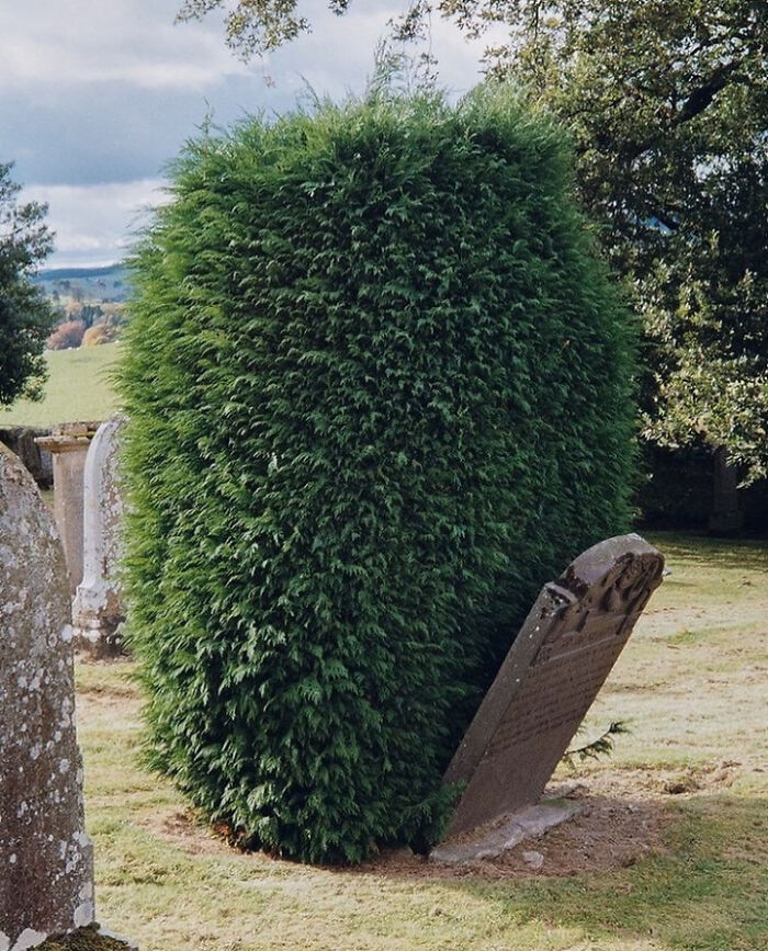 Pic Credit To @wilcre