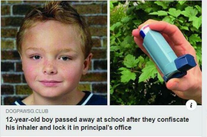 Why Do They Do That?