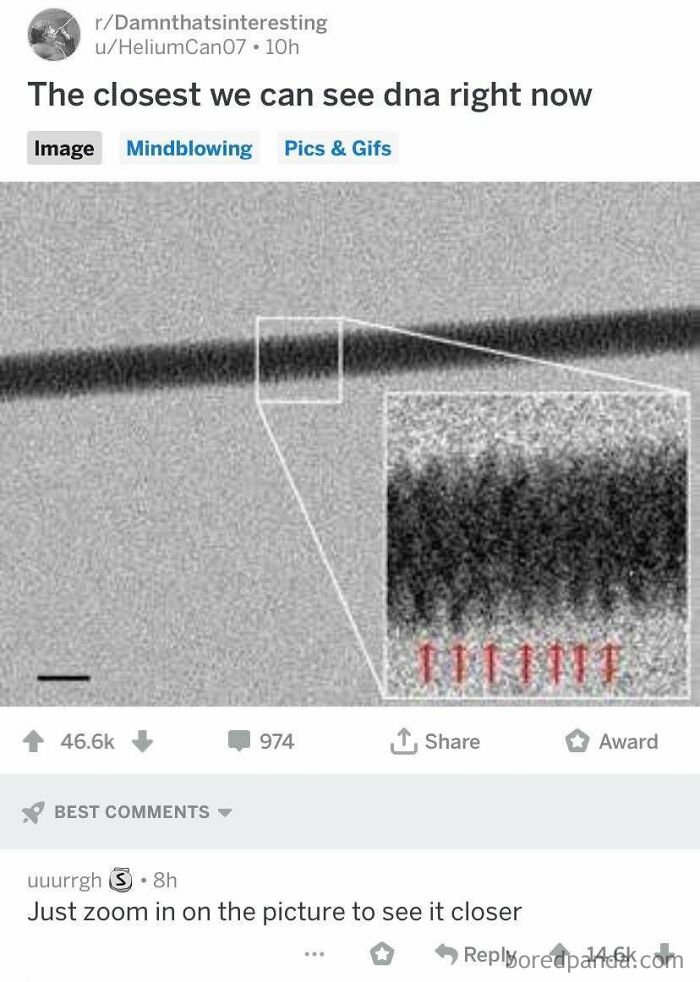 Absolute Madlad Defies Science Itself