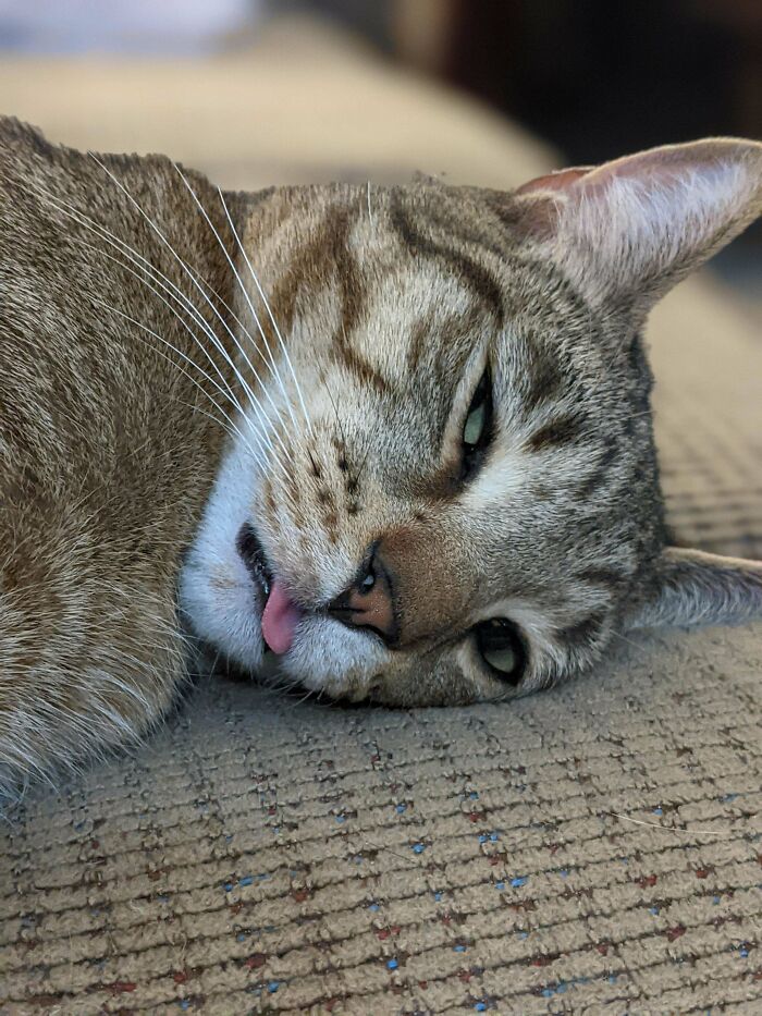 He Just Fell Asleep Like That, Woke Him And He's Fine But It Looks Like He's Wasted