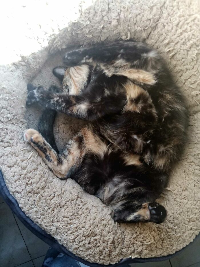 She's Peculiar Like That