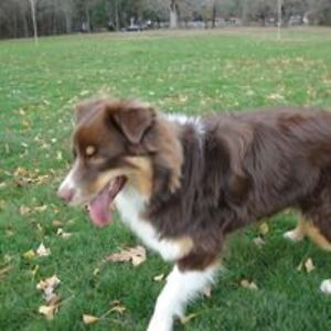 pia_r_florenzano avatar