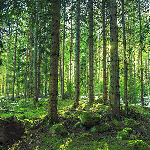 christophhager avatar