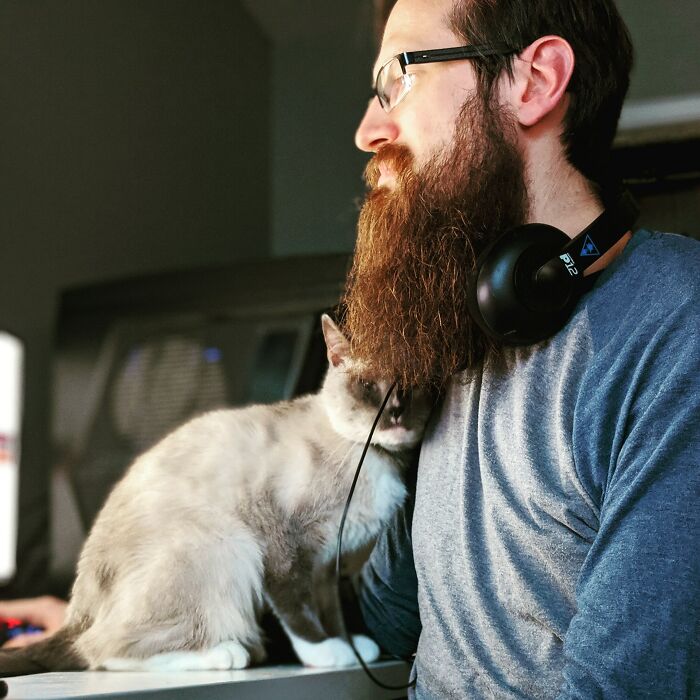 Mr. Steal Yo Man Kitteh