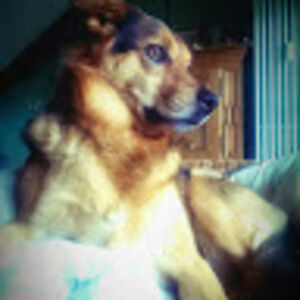 jakobawallmeier avatar