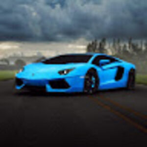 mykelwilliams avatar