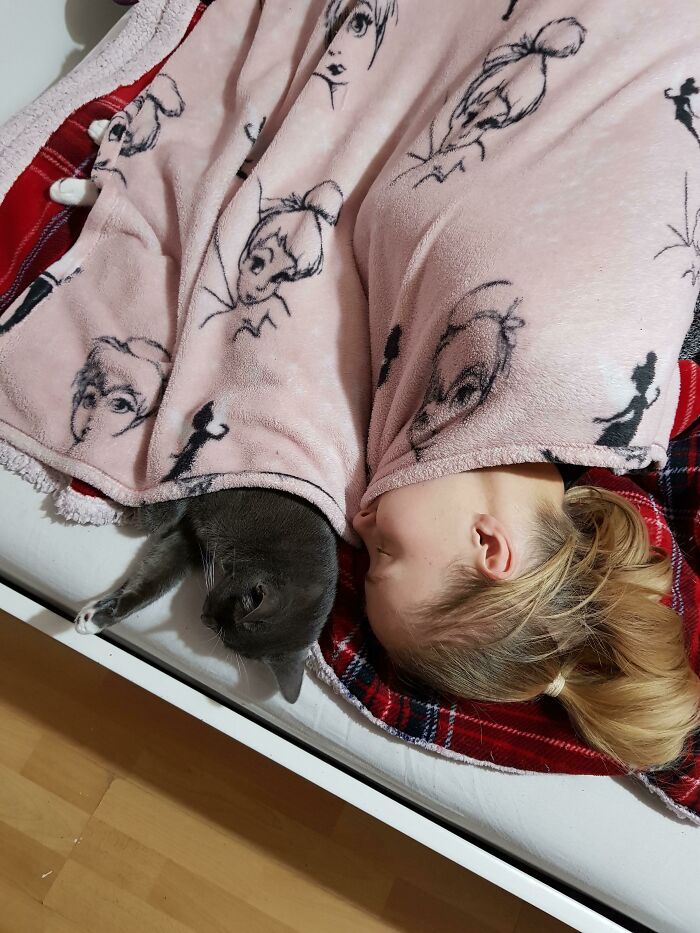 Came Home To Find My Girlfriend And Our Cat Taking A Quick Nap At The Bottom Of The Bed Like This