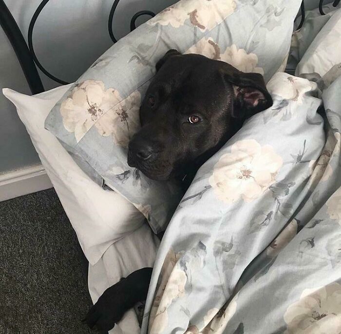 Found My Girlfriend In Bed With A Handsome Italian This Morning