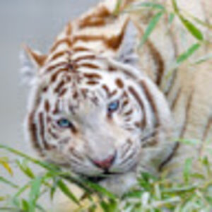 abigailjohnson_3 avatar