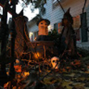 logancunningham avatar