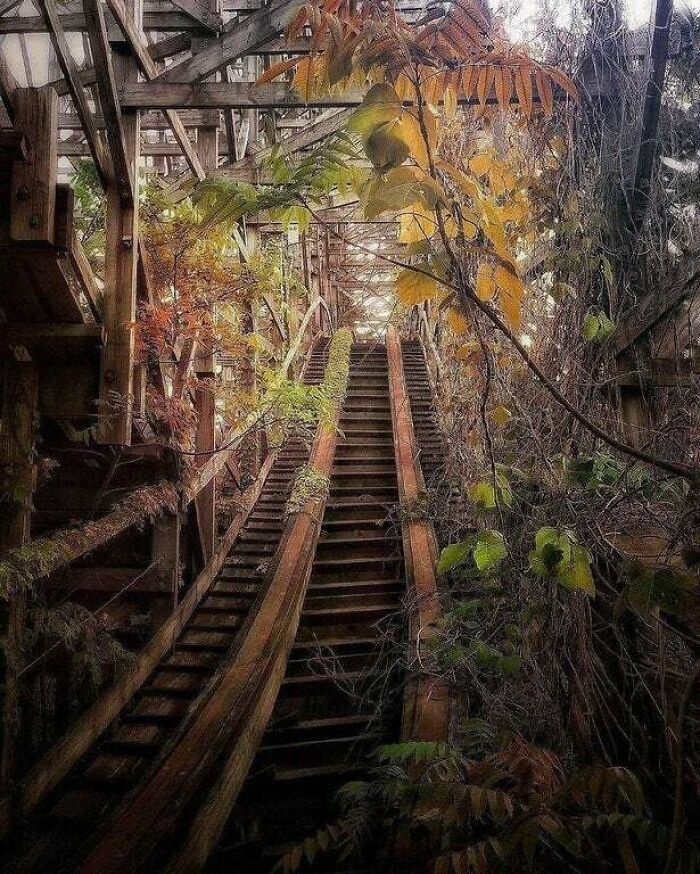 Overgrown Roller Coaster