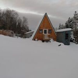 sallymcdonnel avatar