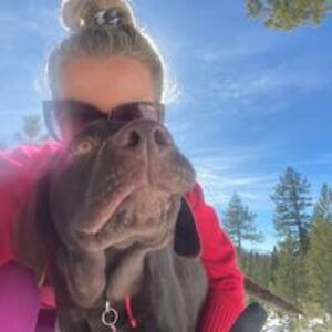 julieanddavegetmarried avatar