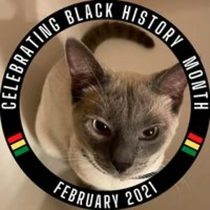 mlrussell6193 avatar