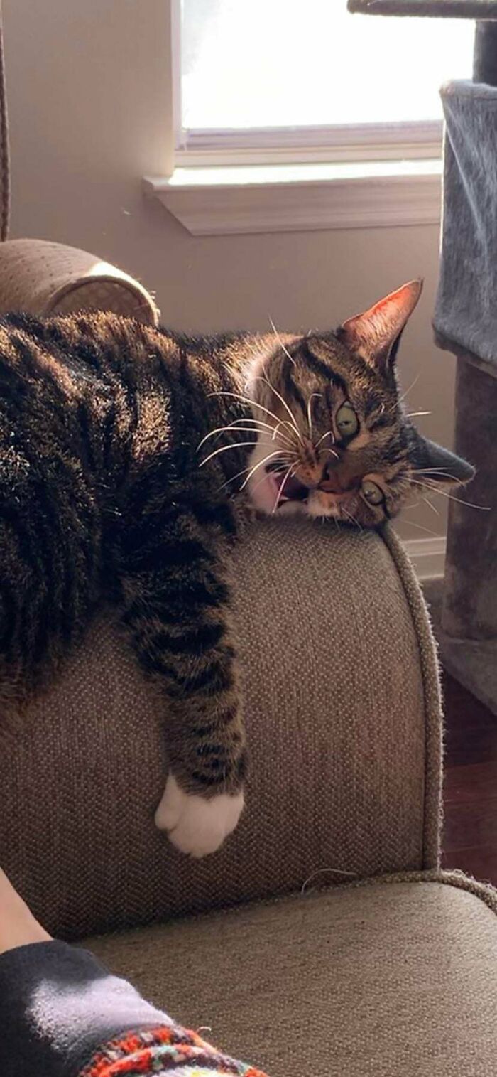 Tillie Is A Bit Strange Sometimes