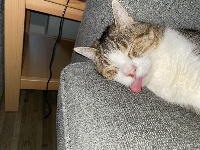 He Sleeps Like This 90% Of The Time