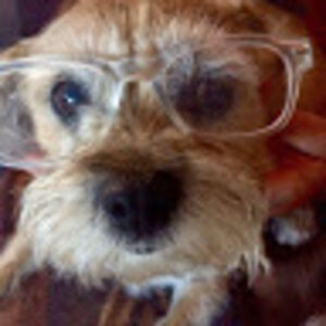 madelineyarbrough avatar