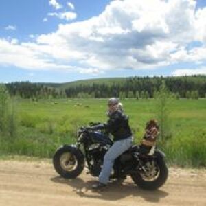 janebroadhead avatar