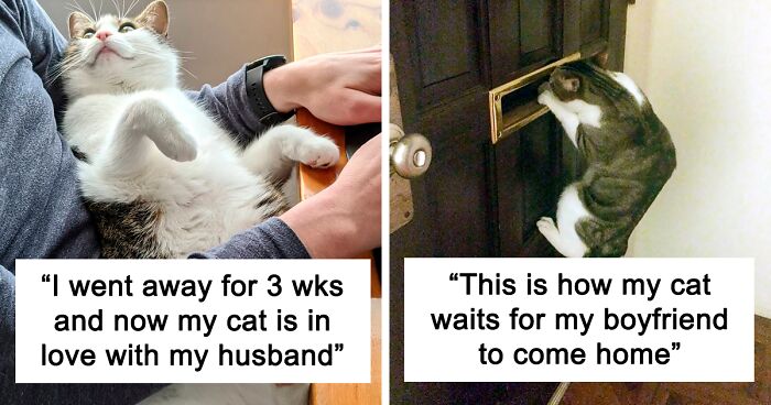 50 “Shameless” Pets That Stole Their Owners’ Partners And Didn’t Even Feel Sorry About It