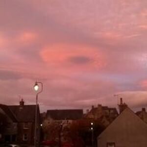 jamesmillarfisher1956 avatar