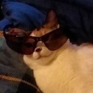 firewalker197133 avatar