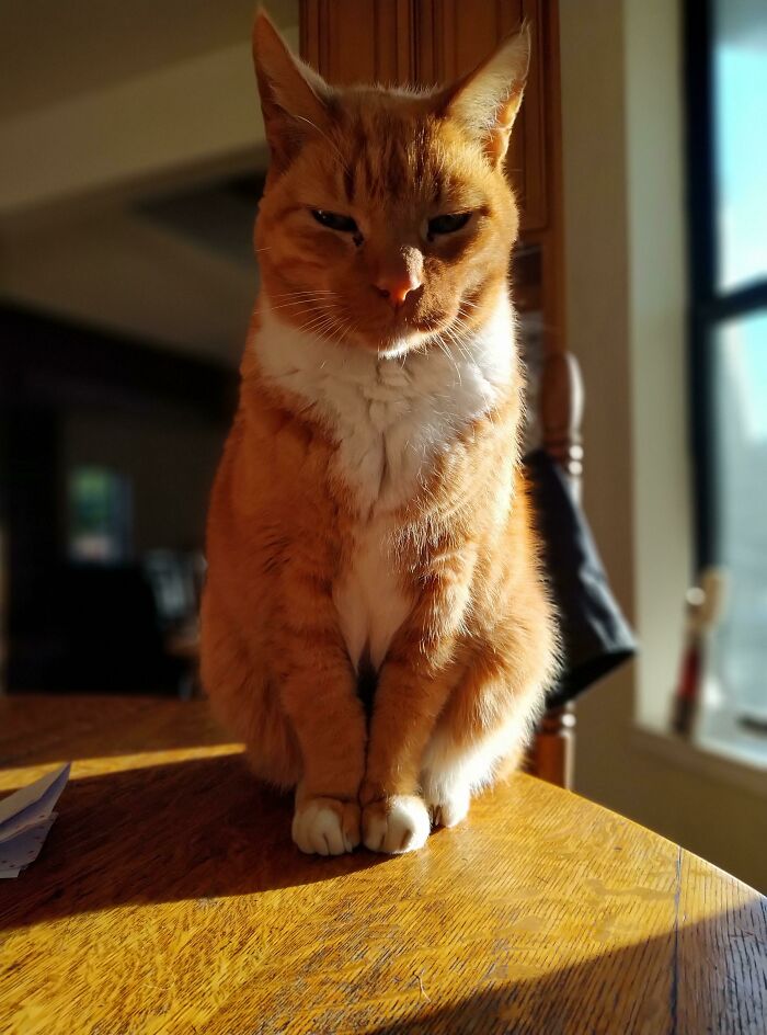 Fireball Is His Name