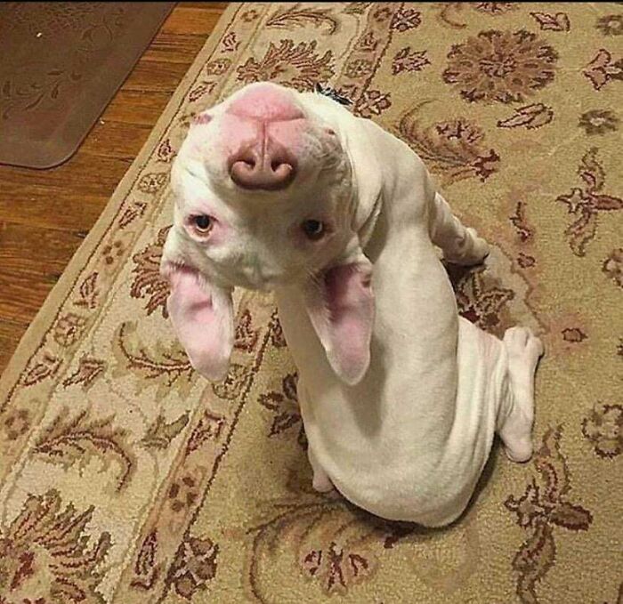 Every Time I Call Williams Name