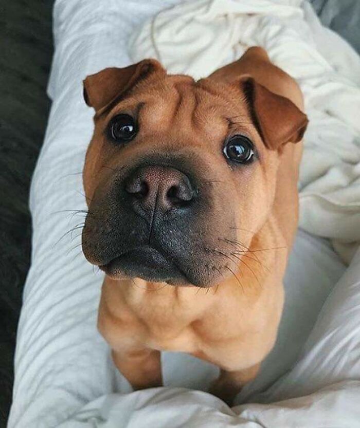 It's Futile To Resist