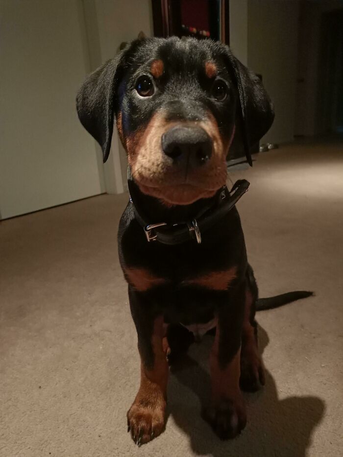 It's My Cake Day, So Please Enjoy This Photo Of My Best Mate