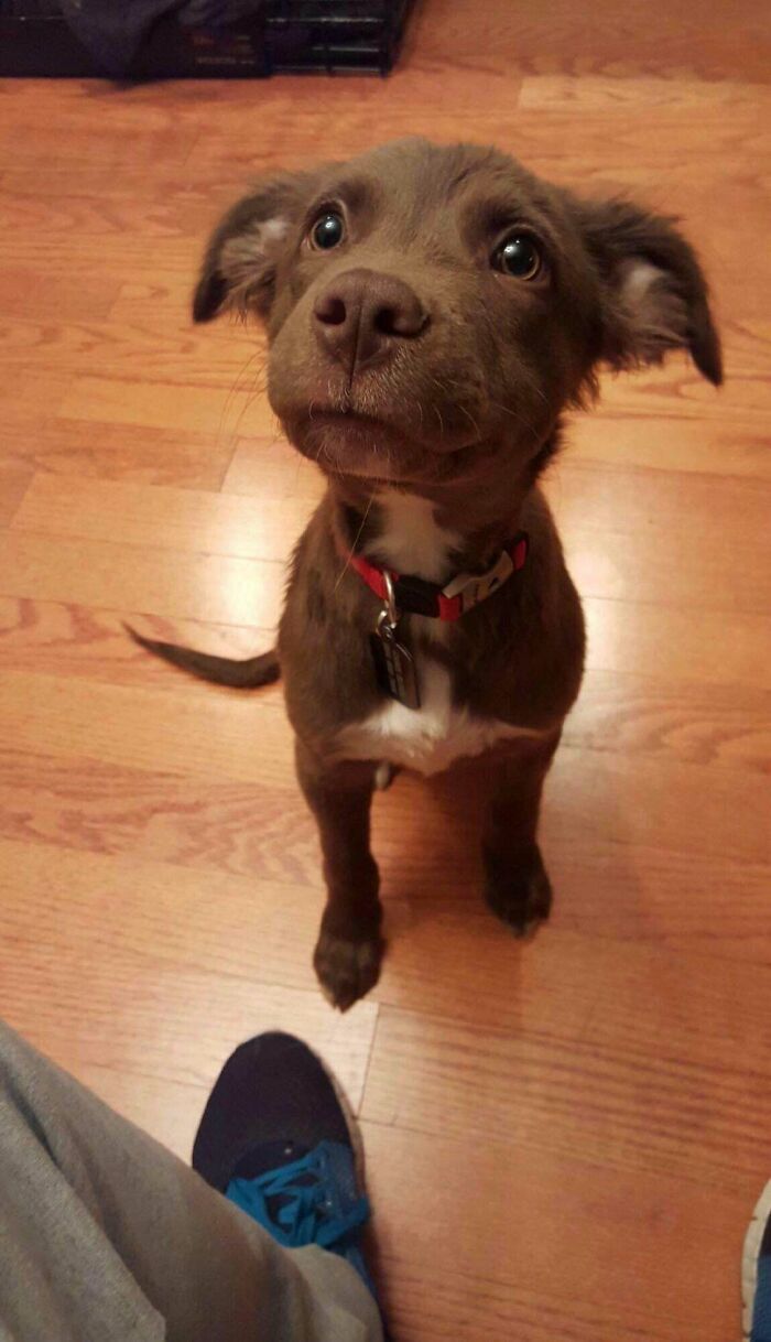 Look At This Little One