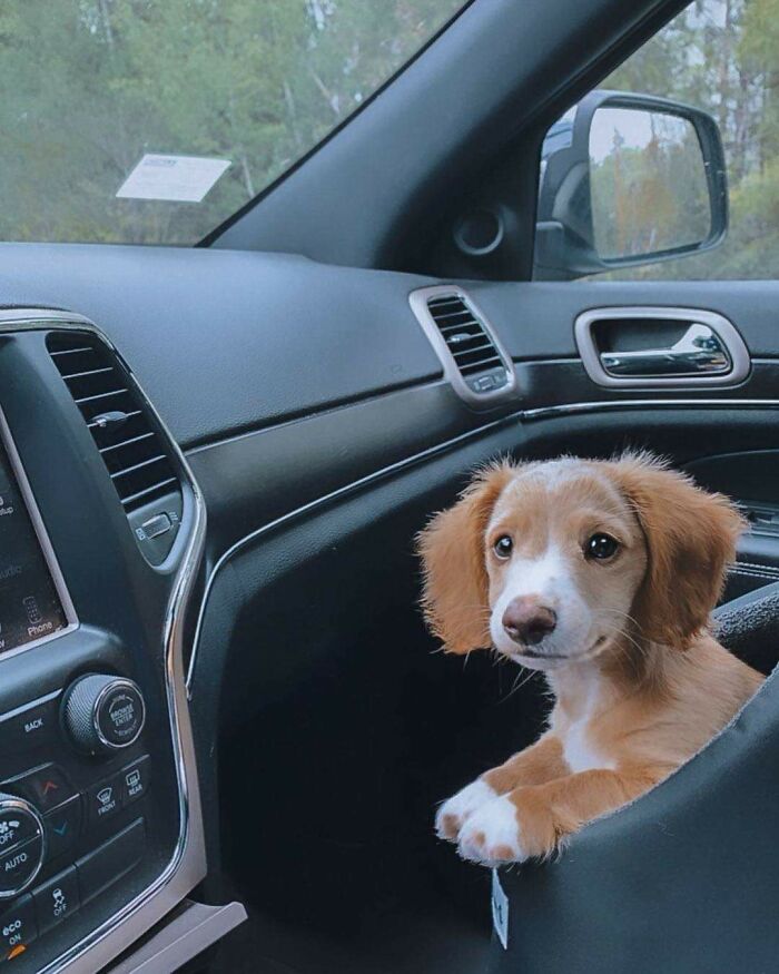 Hey, Can You Hand Me The Aux Cable