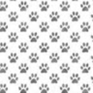 lilyavadoggypaws avatar