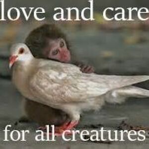 lisa_blackwood avatar