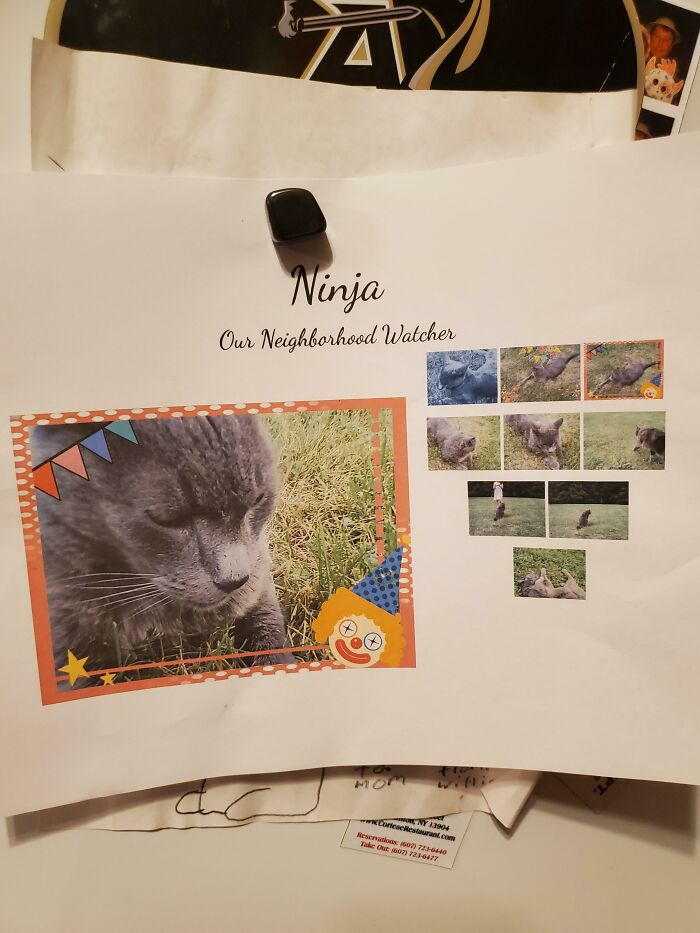 So My Cat Died A Few Days Ago And The Neighbor's Kids Found Out And My This Collage Of Him. I'm In Tears