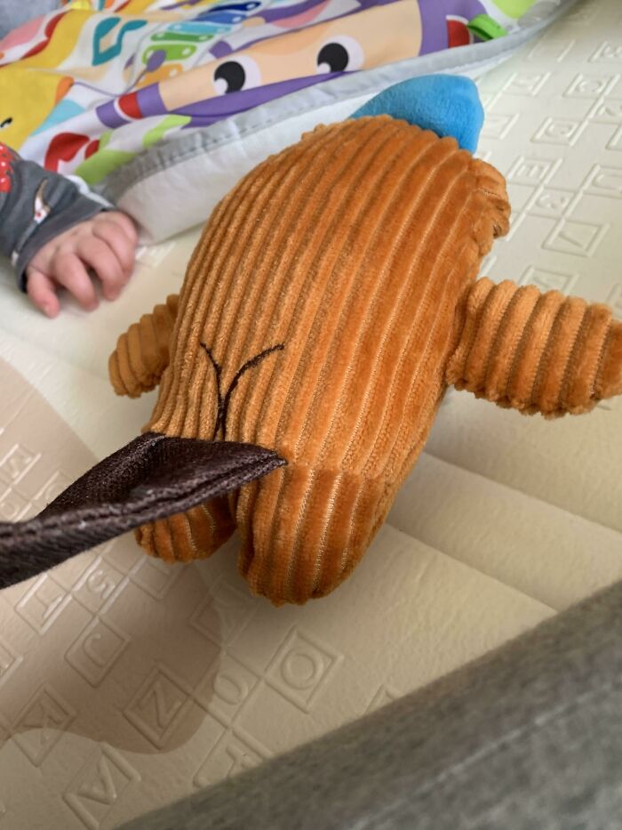 Im No Expert On Beaver Butts But I Know Somethings Off