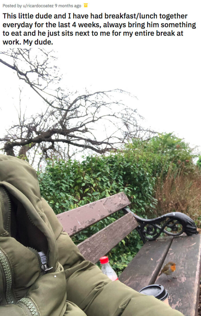 Person in green jacket sitting on a bench with an adorable small bird, a mood-boosting animal picture outdoors.