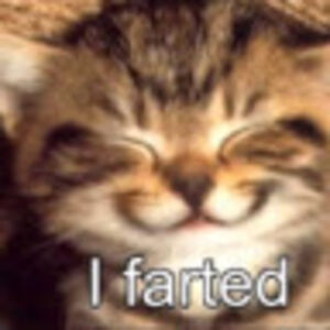 clairedelalune avatar