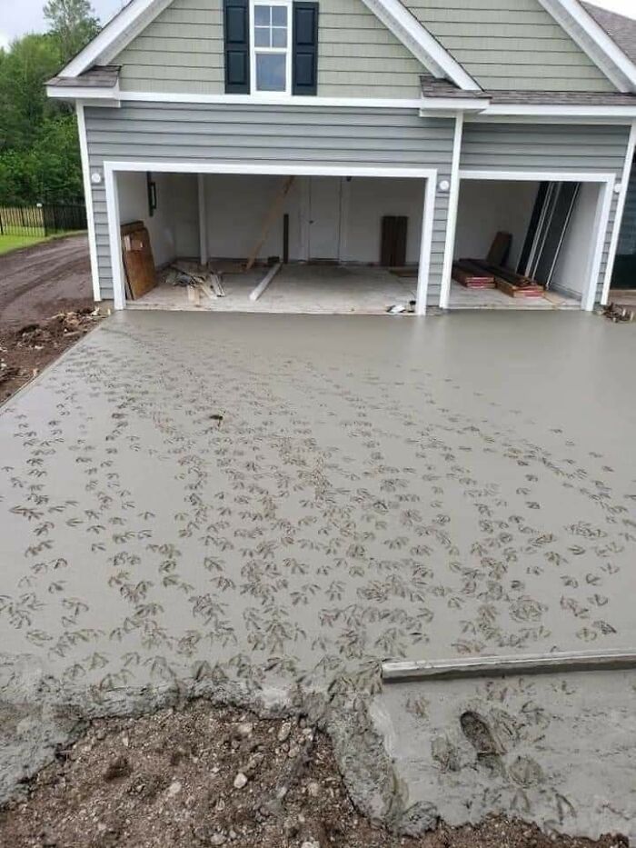 A Driveway Crew Was Pouring Concrete At A New House Next To A Duck Pond. They Went To Lunch And Came Back To This...