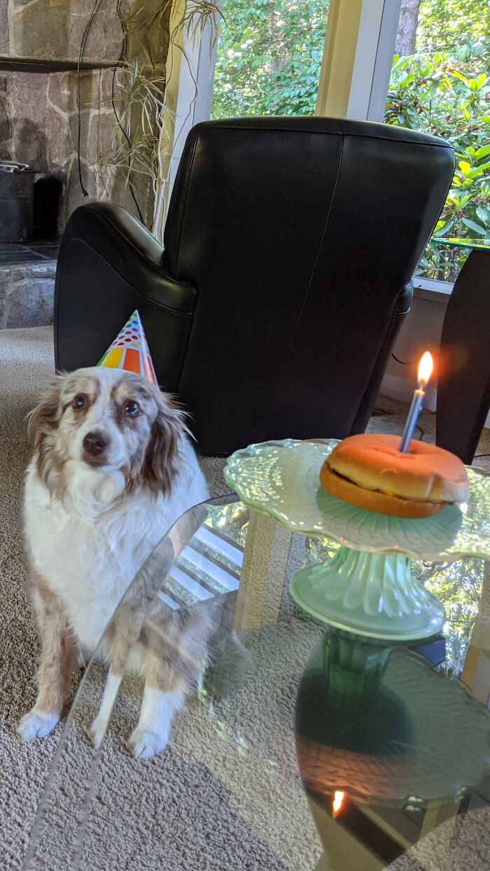 Zoe Just Turned 17, But She Still Likes To Party