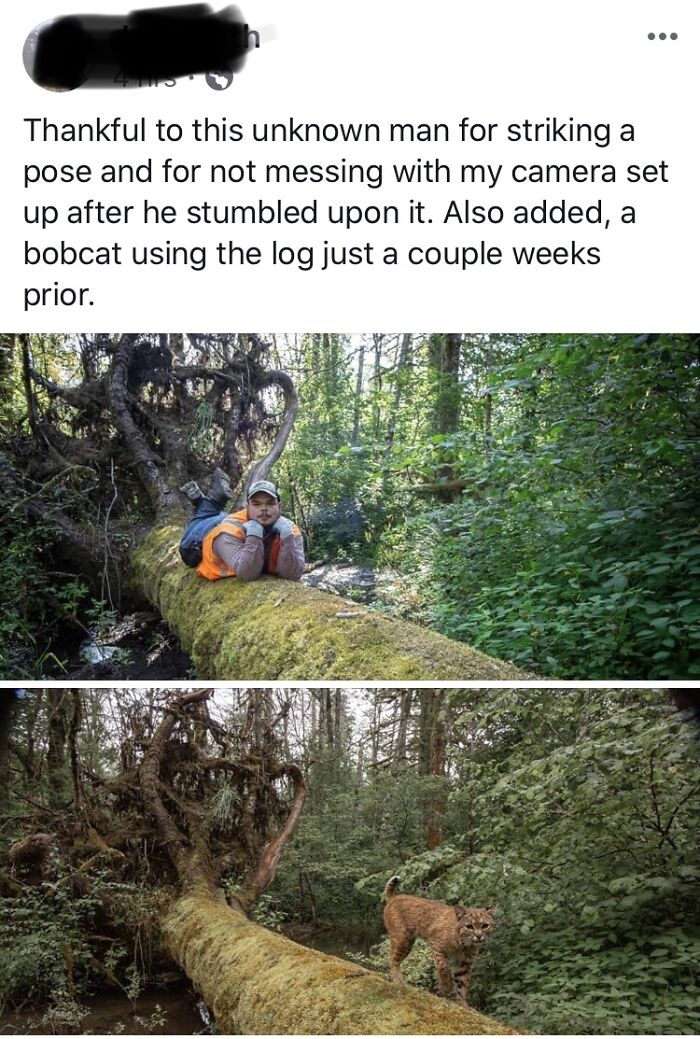 Rawrrrrr! Unknown Man Finds Game Camera.