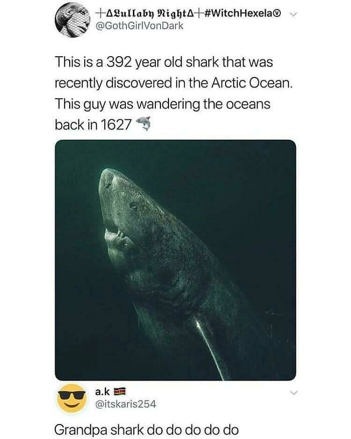 The Reply I Hoped For