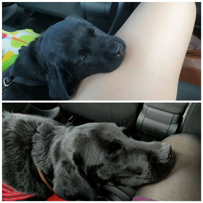 First Ride Home..and Every Car Ride Ever Since