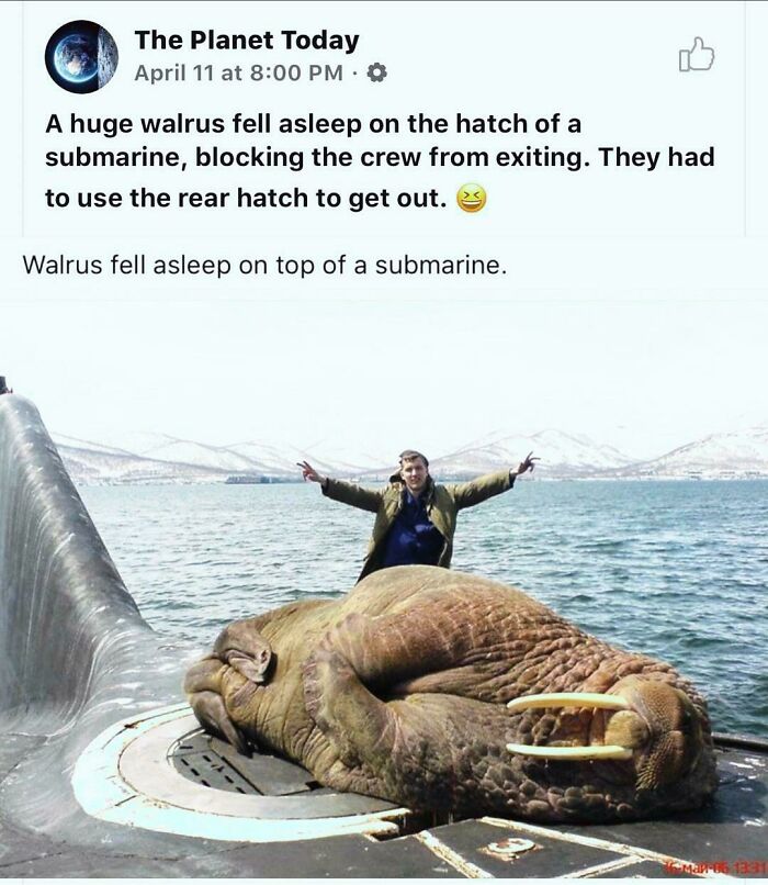 Don't You Dare Wake Him Up