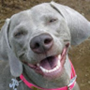 saturnslipper avatar